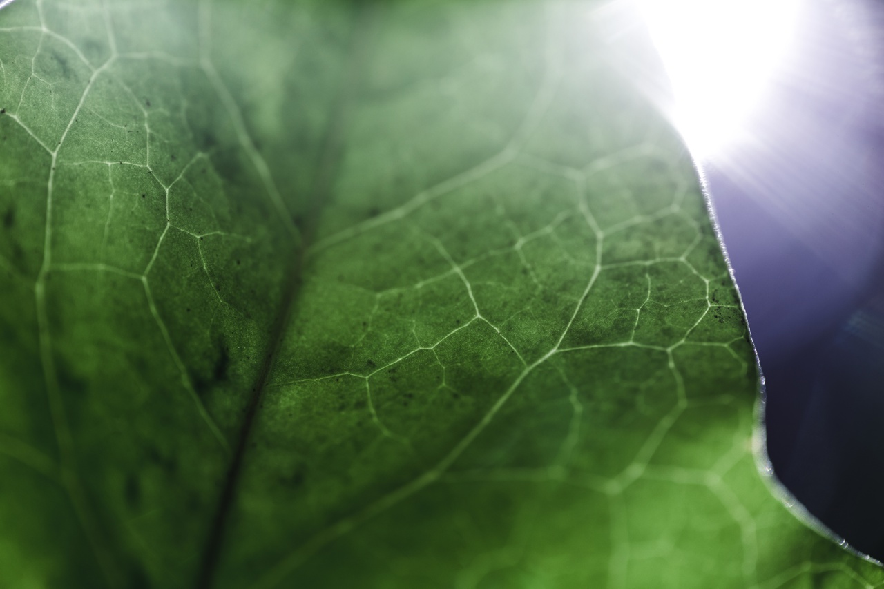 Compromisso ambiental, da Arflux, com soluções sustentáveis para pintura industrial